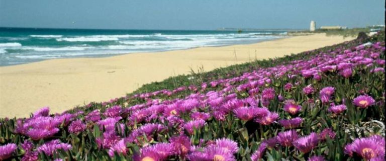 Zahara de los Atunes: The Hidden Gem of the Spanish Coast!