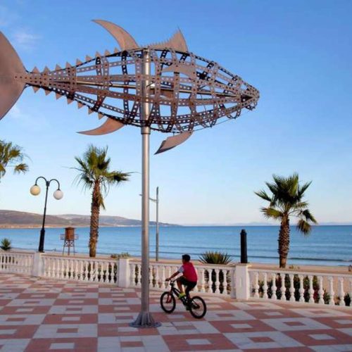 Costa de Atun-900